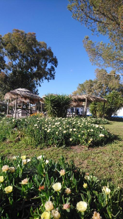 Lodge Monte Do Sobral Alcáçovas Exteriör bild